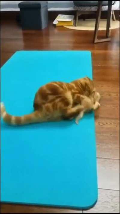 When your a teen and you think you can step to your dad. I know i aint the only one who did that shit😁