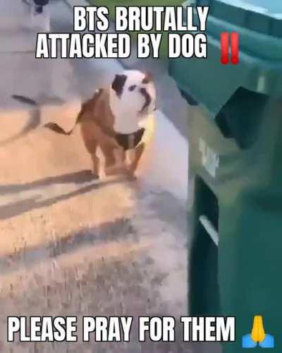 this is so sad for junglec*ock!!