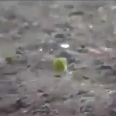 glaggle land Free roam