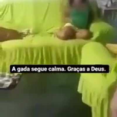 Fundiu a mente do gado