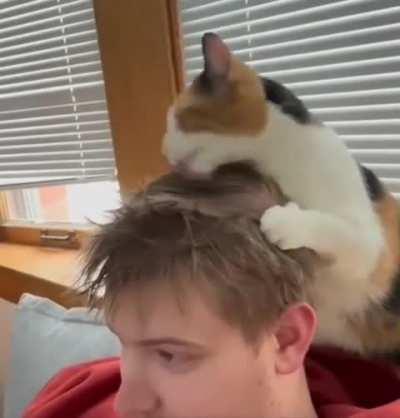 Lerolerolerolerolerolerolero