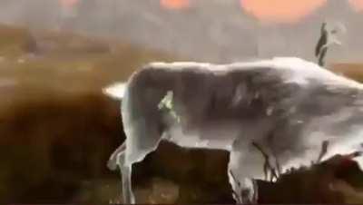 Best sport in Skyrim