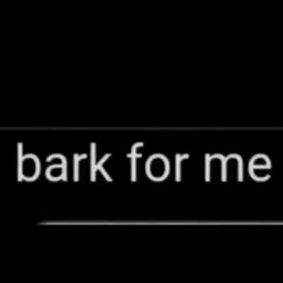 Literalmente todo el chat