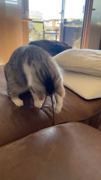 Tap and get it👀😂