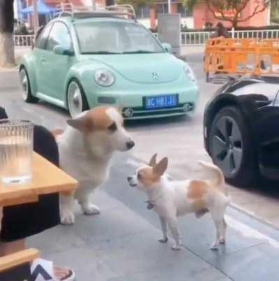 People online vs. in real life...