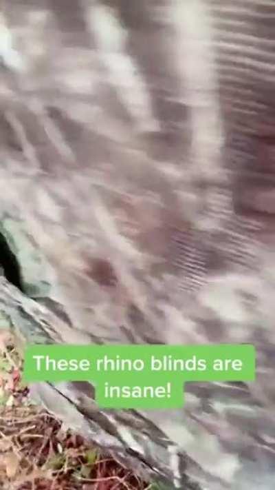 Tent with an amazing view from the inside