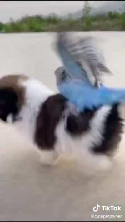 Thanks For The Quick Ride Buddy lol.