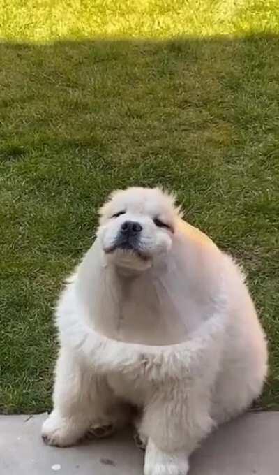 Somebody been playing with the funnel