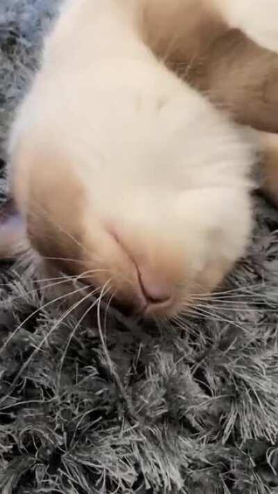 She’s happy I’m home