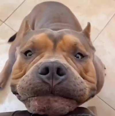 A big smile from the big guy