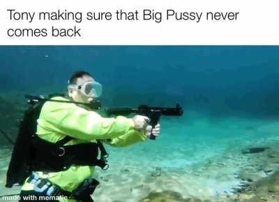 Pussy sleeps with the fishes