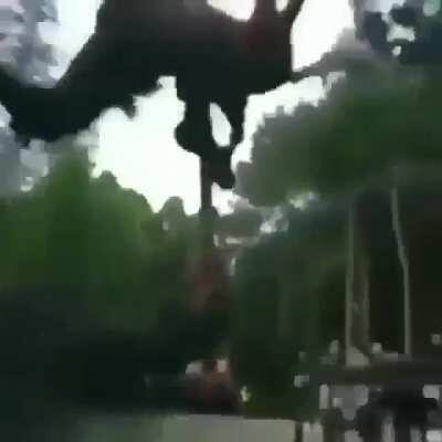 DoomerGvng - Video #7125