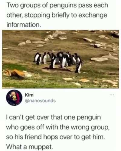 Exchange of information