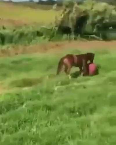 Juaney jogando bola widepeepoHappy