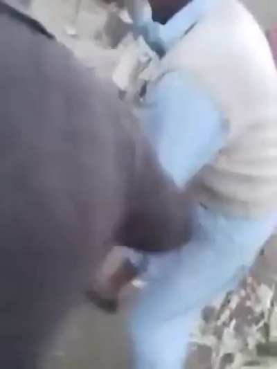 Attempting to stop a dogfight turns into something else entirely