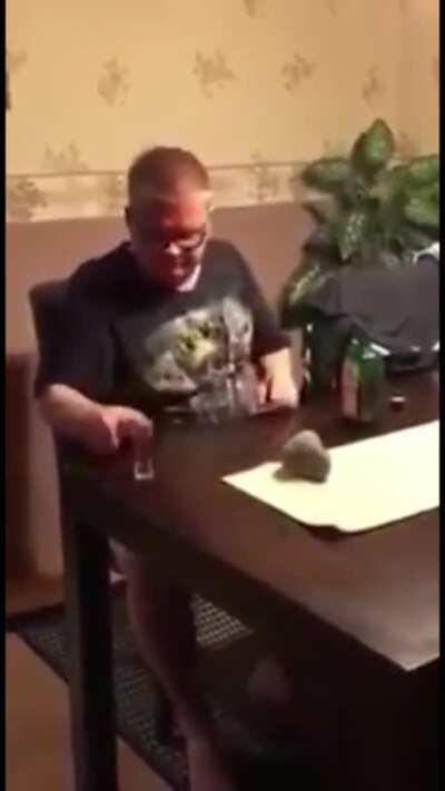 Meanwhile in Finland...