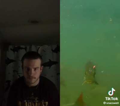 he’s just swimming there, menacingly