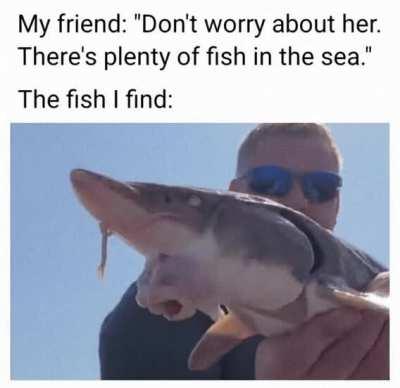 Don't put your d*ck in that