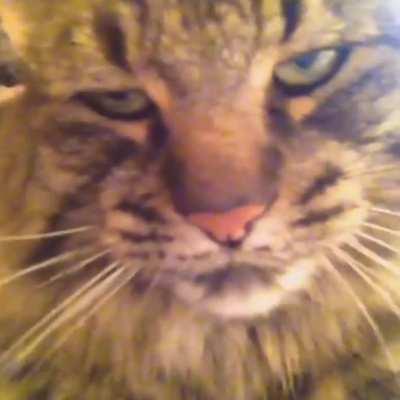 True love and affection