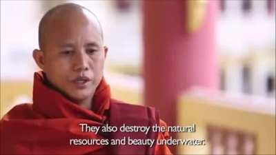 When the religion of peace makes even buddhists wanting to kill them,..