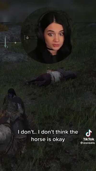 [Elden Ring] Is the horsey okay?