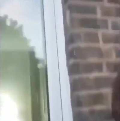 I would tell you all that I am sorry for all the neco-arc posts lately but I'm not sorry, I love neco-arc and I hope you all do too