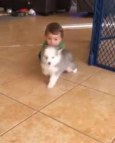 Come little human it's time to play