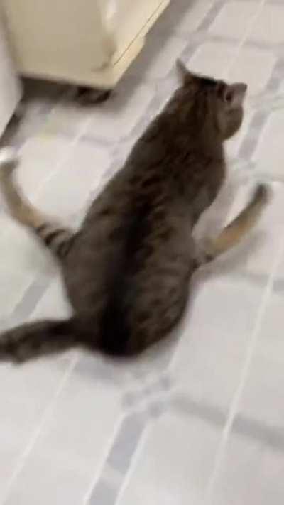 Последние парковочное место