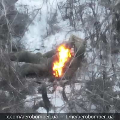 Russian soldier burns to death after being hit with Ukrainian drone-dropped grenades, March 2025