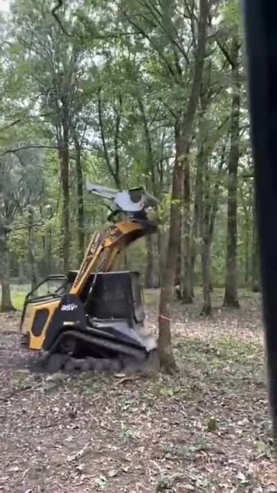 Satisfying and beautiful