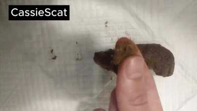 SO Horny! Smearing and Eating A Pea From My Shit [GIF]