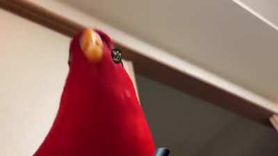 Hope this hasn't been done yet