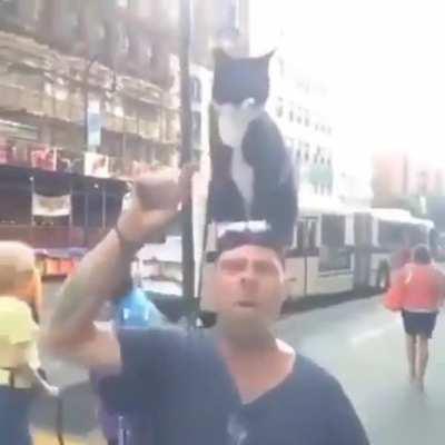 Mind controlling cat mmnd controlling cat mind controlling cat