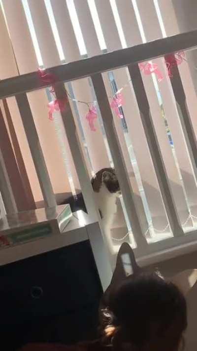 Brain has to process