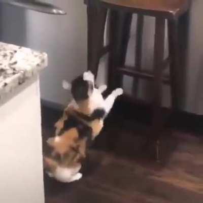 me saying I’m gonna do it VS reality