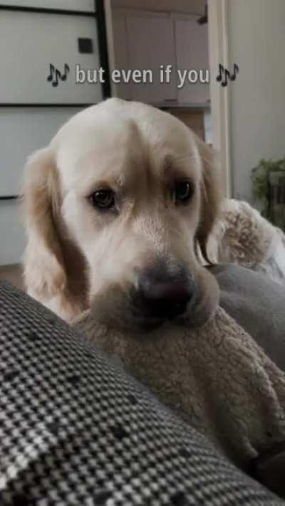 Can I interest you in a BOOP? [OC]