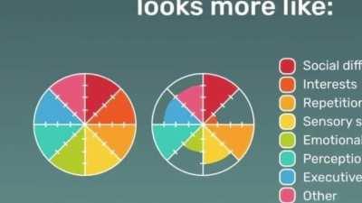 What are the abilities / stats of your autism?