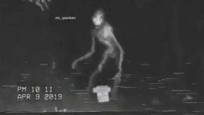 Nobody, the furniture in my house at 3am