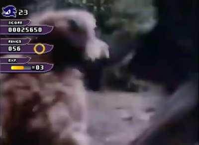 Werehog chases a rex and dies