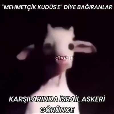 Mehmetçik Kudüs'e diye bagiranlar karşılarında İsrail askeri görünce
