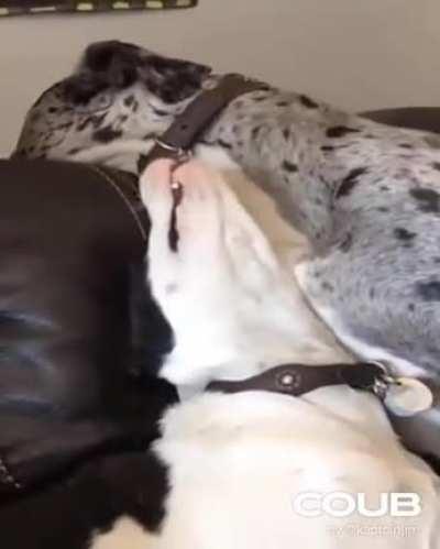 I guess that's one way to stop him