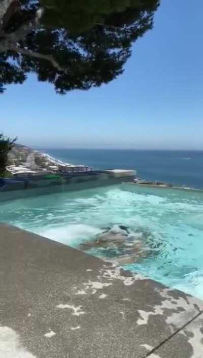 A nice surprise at the pool