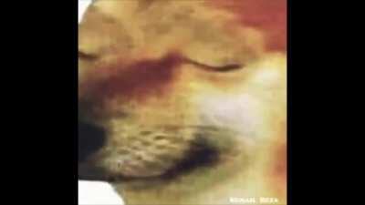 Doggo has chosen to slay all thots and give up on all earthly desires to protect us from being Horny and losing ourselves. Mad Respect.