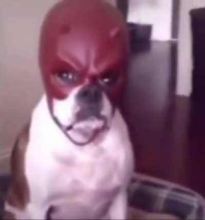 How i feel when i chew 5 cum