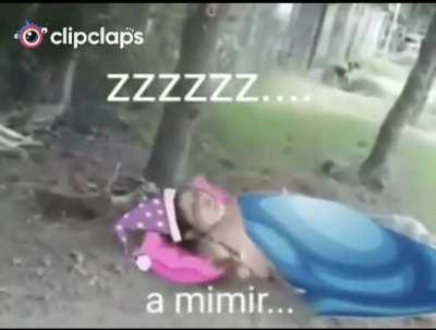Boa noite ademir