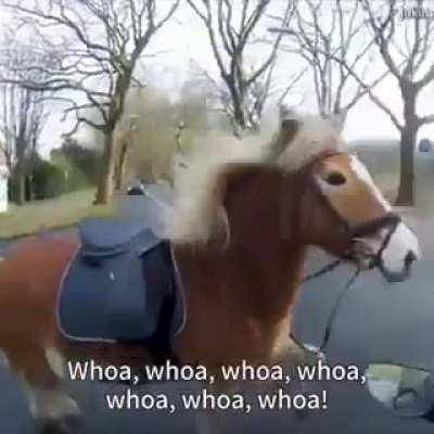 Biker making this lady’s day