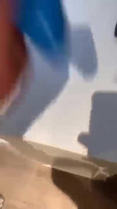 Day 79 of posting memes