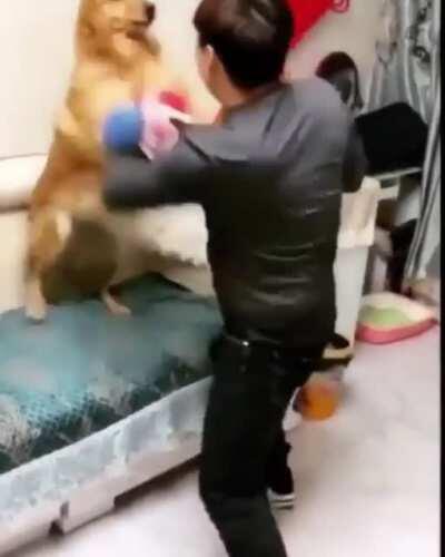 I want a good clean fight, Let’s get it on.