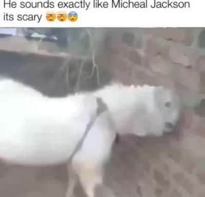 Jackson, Tyson, Jordan, Game 6.