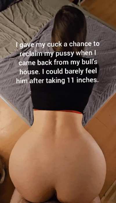 My cuck is half the size of my bull!!